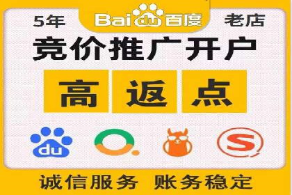 竞价SEM案例分享：行业霸主崛起之路
